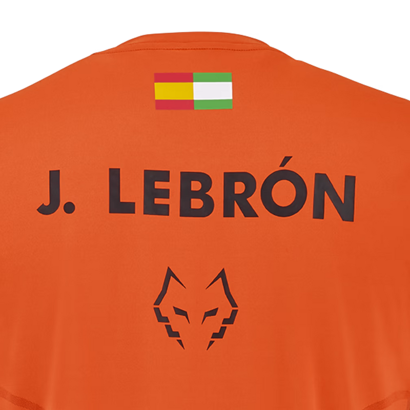 Load image into Gallery viewer, MEN'S BABOLAT LEBRON T-SHIRT