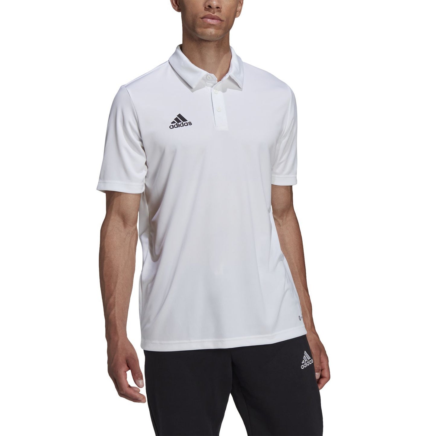 POLO HOMEM ADIDAS ENT22 BRANCO