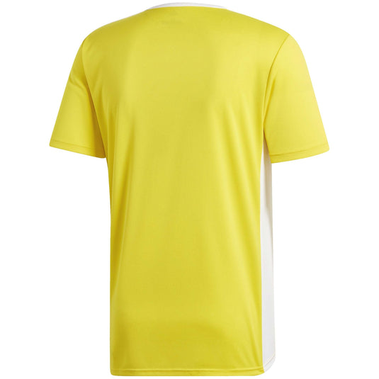 CAMISETA HOMBRE ADIDAS ENTRADA 18 VARIOS COLORES