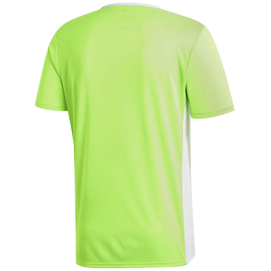 CAMISETA HOMBRE ADIDAS ENTRADA 18 VARIOS COLORES